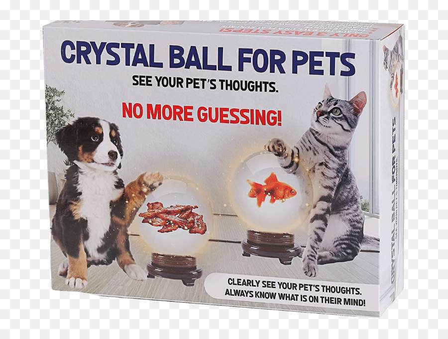 I Love This Magical Crystal Ball - Bernese Mountain Dog Puppy Emoji,Woman Crystal Ball Hand Emoji