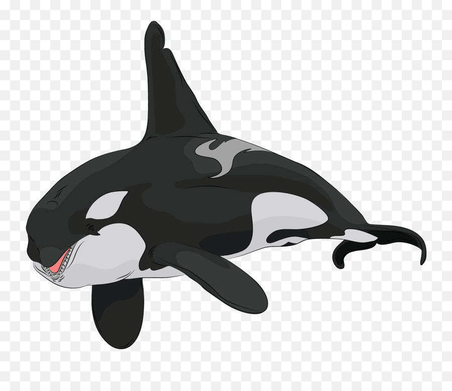 Killer Whale Clipart - Killer Whale Emoji,Orca Emoji