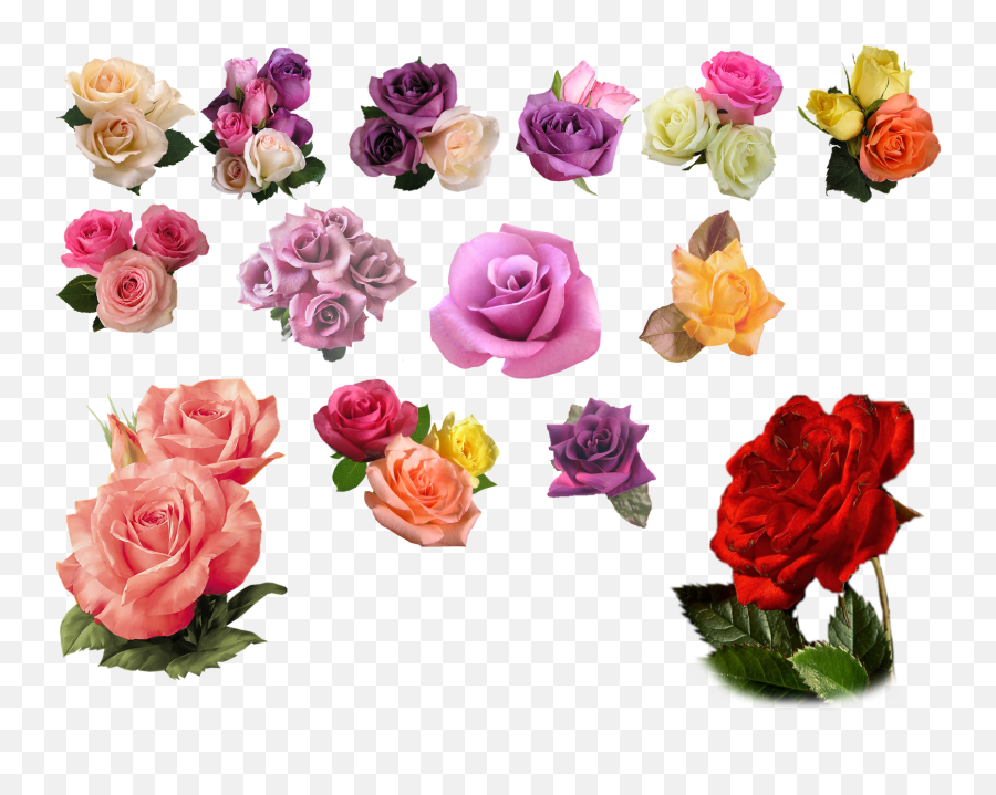 Free Pink Rose Transparent Background Download Free Clip - Transparent Background Png Format Rose Png Emoji,Pink Rose Emoji
