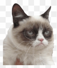 Png Grumpy Smiley Emoticon - Im Not Sad Meme Emoji