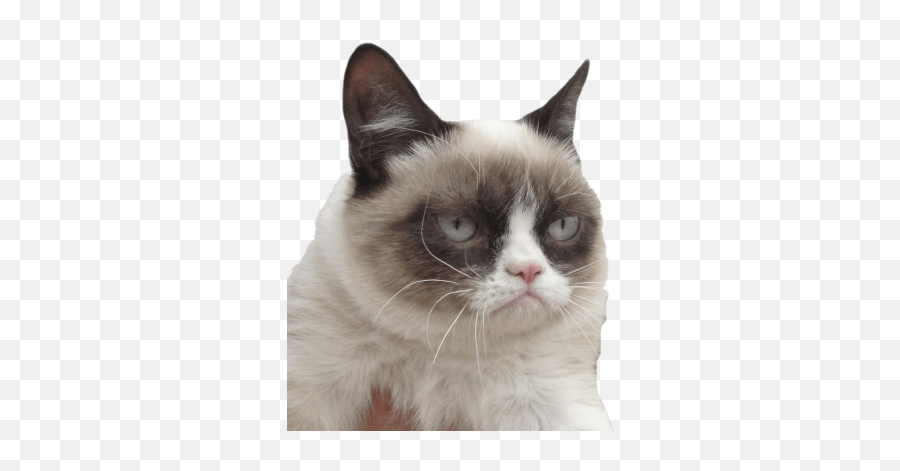 Png Grumpy Smiley Emoticon - Im Not Sad Meme Emoji,Grumpy Cat Emoticon