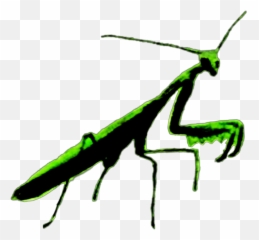Prayingmantis Green Insect - Insects Emoji,Praying Mantis Emoji