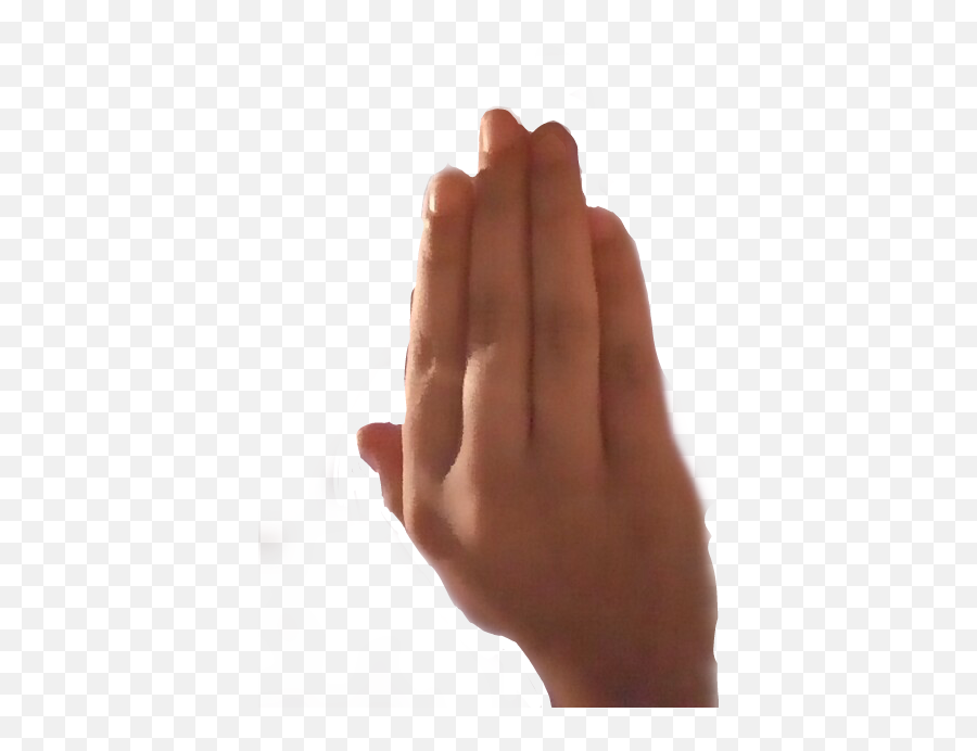 Heand - Macro Photography Emoji,Brown Praying Hands Emoji