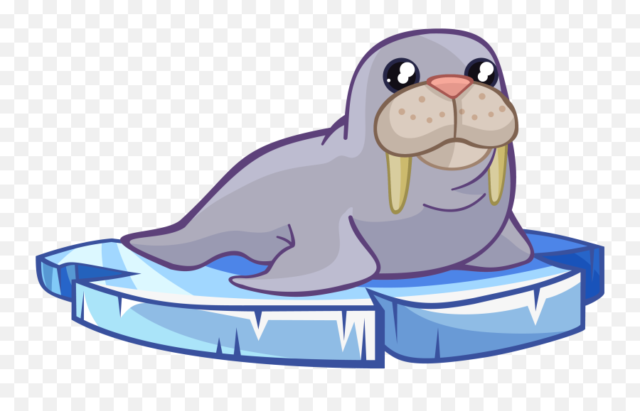 The Best Free Walrus Clipart Images - Walrus Clipart Emoji,Walrus Emoticon