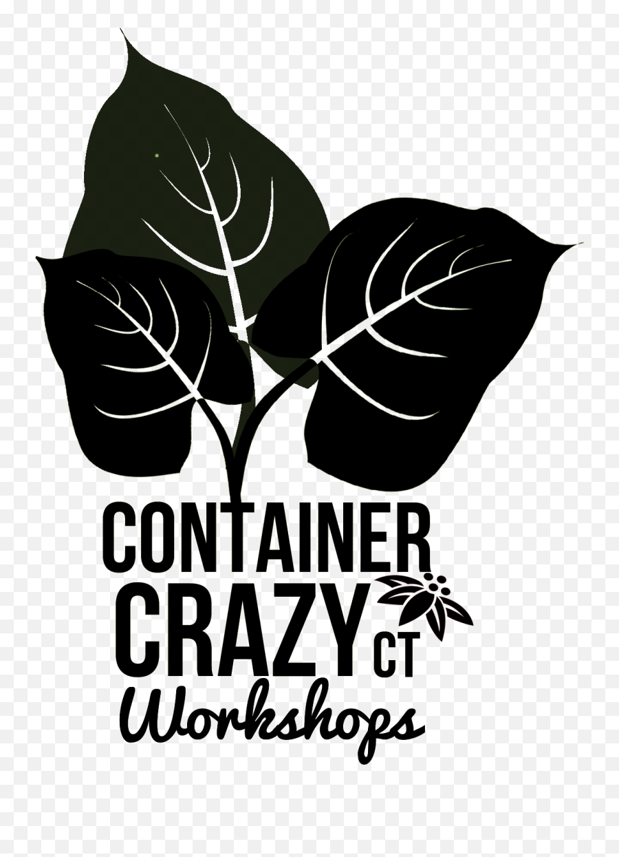 Cathy T Container Crazy Ct - Illustration Emoji,Sprout Emoji