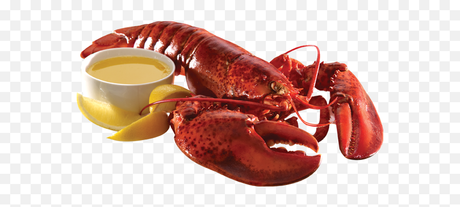 Lobster Png - Transparent Background Lobster Transparent Transparent Cooked Lobster Png Emoji,Crawfish Emoji
