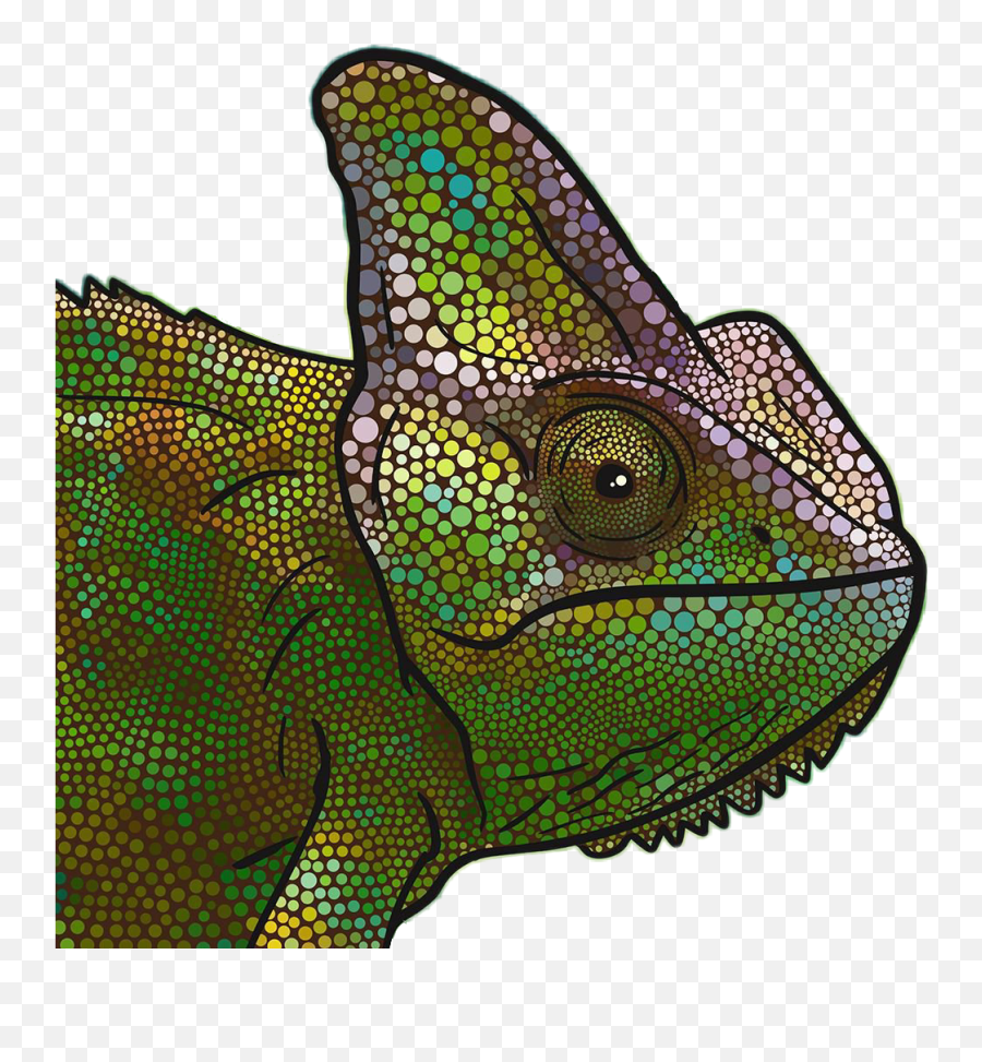 Xboxpics Xbox Green Chameleon - Sticker By Danila Common Chameleon Emoji,Chameleon Emoji