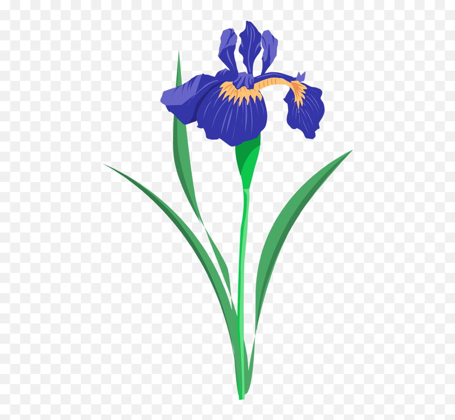 Iris Clipart - Iris Clipart Emoji,Iris Emoji