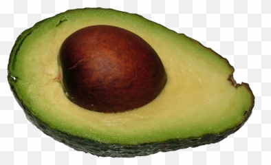 Nut clipart avocado Transparent FREE for - Avocat Emoji