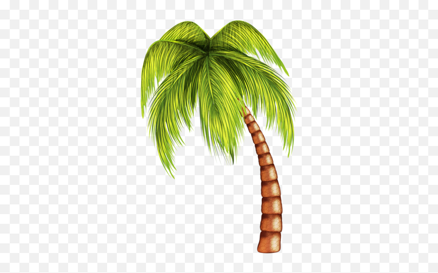 Tropical Summer Palm Tree Palmera Summerfun Summerdrink - Transparent Background Beach Clipart Png Emoji,Palm Tree Emoji Png
