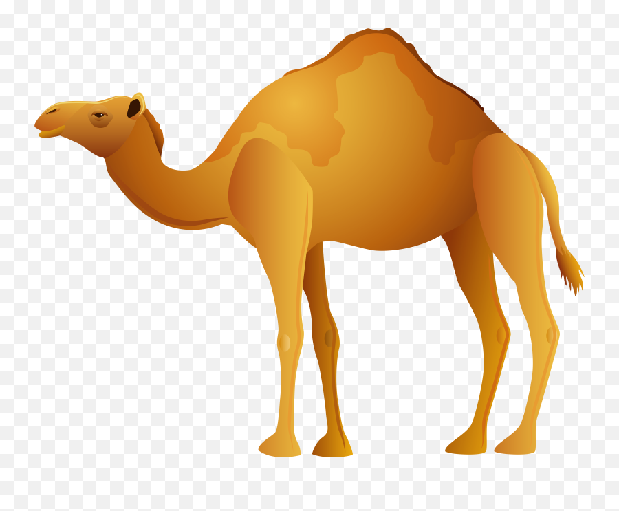 Camel Face Clipart Emoji,Camel Emoji