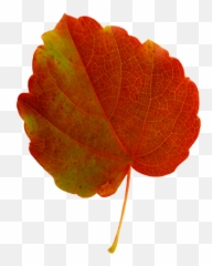 10863 Autumn Free Clipart - Autumn Leaf Green And Red Emoji,Fallen Leaf Emoji