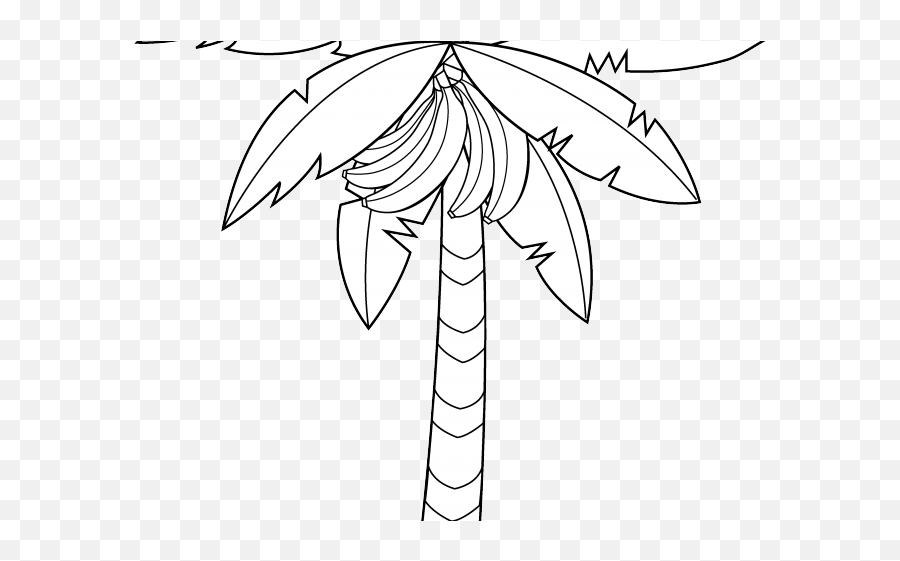 Download Hd Drawn Palm Tree Banana Tree - Coloring Book Emoji,Palm Tree Book Emoji