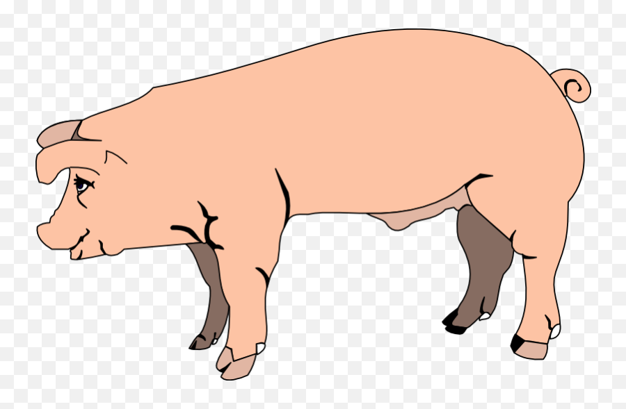 Image Of Pig Clipart 7 Clip Art Free Vector Clipartoons 6 - Hog Clip Art Emoji,Boar Emoji