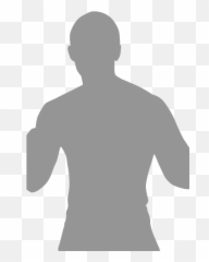 20180224 HONOR RISINGJAPAN NEW PRO - WRESTLING Pro Wrestling Silhouette Champion Emoji