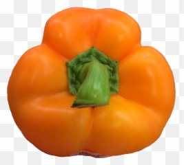 The Most Edited - Diet Food Emoji