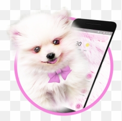 Pink Cute Puppy Dog Theme - Pomeranian Emoji