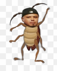 Roach Freetoedit Emoji,Roach Emoji