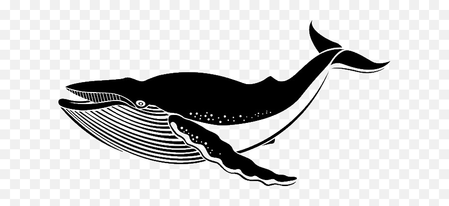 Wall Decal Sticker Blue Whale - Whale Png Download 680472 Blue Wale Silhouette Emoji,Blue Whale Emoji