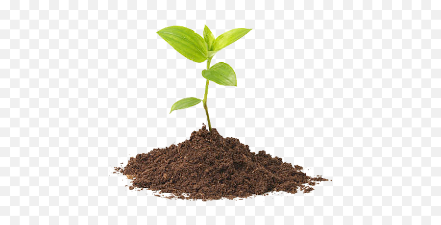 About Simple Earth Health Company - Natural Health U0026 Self Plants In Compost Emoji,Basil Emoji