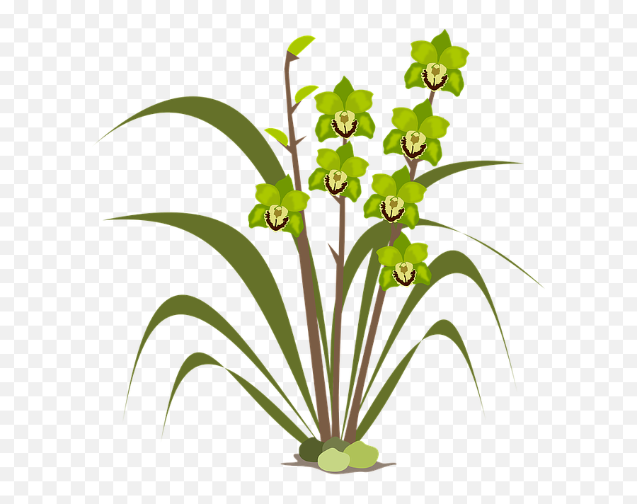Pixabay - Clip Art Tanaman Bunga Emoji,Dandelion Emoji