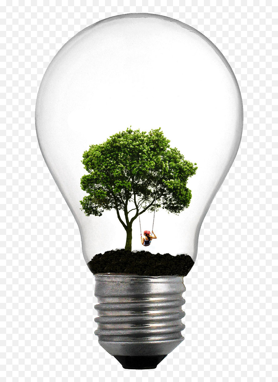Incandescent Light Bulb Tree Lamp Lighting - Light Bulb With Trees Emoji,Lightbulb Emoji