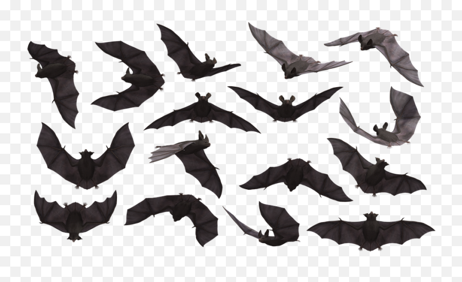 Bat Bats Flying - Bats In Batman Emoji,Batman Emoticon Text