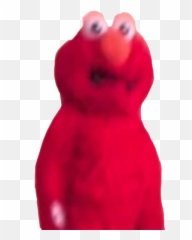 Meme Memes Elmo Elmomemes Momos - Imagenes De Elmo Random Emoji,Elmo Emoji