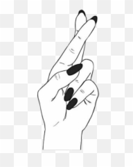Popular and Trending fingers Stickers on PicsArt - Aesthetic White Fingers Emoji