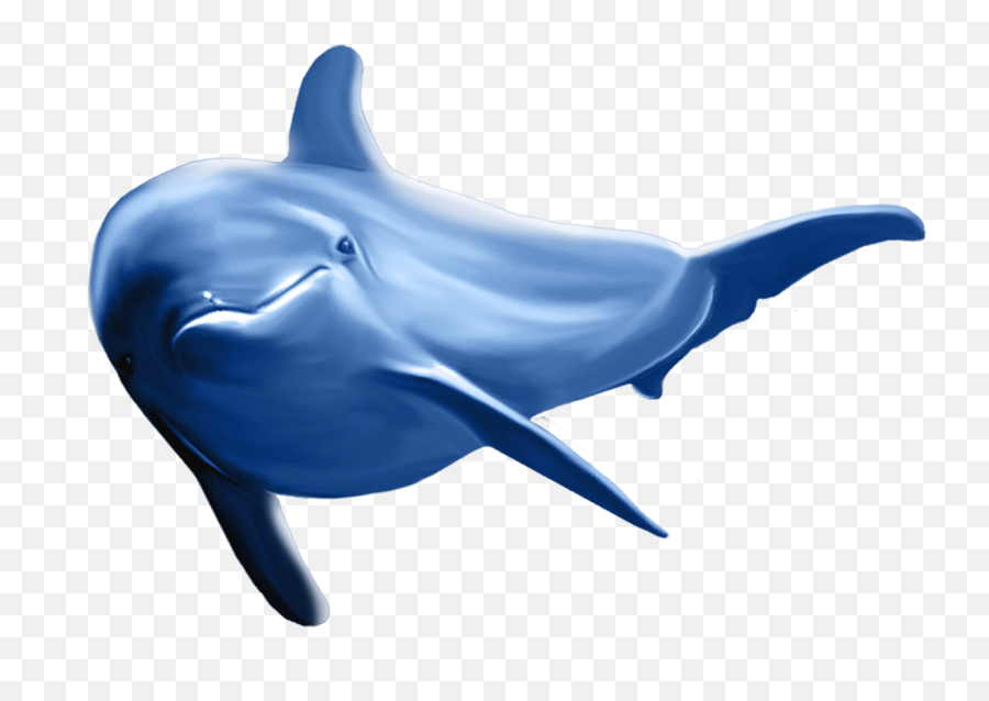 Dolphin Png Cartoon - Dolphin Png Emoji,Dolphin Emoji