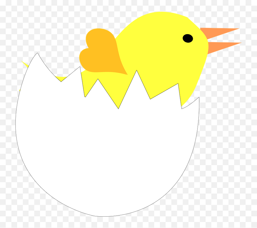 Cracked Egg Shell Clipart - Pintinho Na Casca Do Ovo Png Kaip Nupiešti Kiaušin Visciuka Emoji,Ovo Emoji