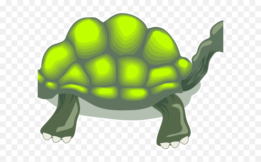 Tortoise Clipart Box Turtle - Turtle Png Download Full Kaplumbaa Çizim Png Emoji,Ninja Turtles Emoji