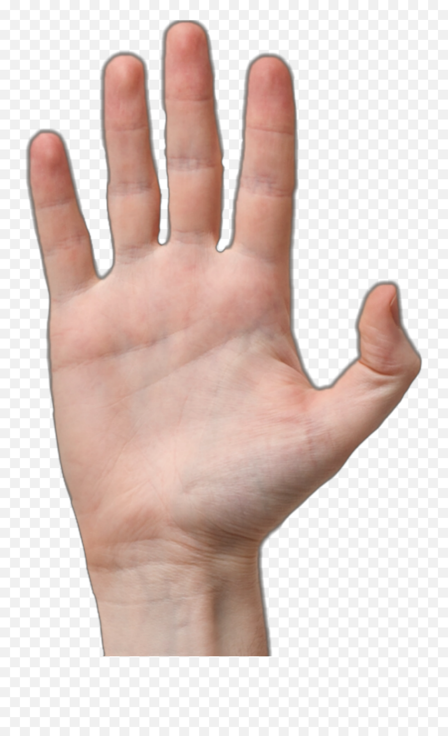 Hand Highive Palm - Hand Reference Front Back Emoji,Hand Palm Emoji