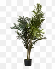 Download Hd Black Hammock Palm Tree - Palm Tree In Pot Png Emoji,Hammock Emoji