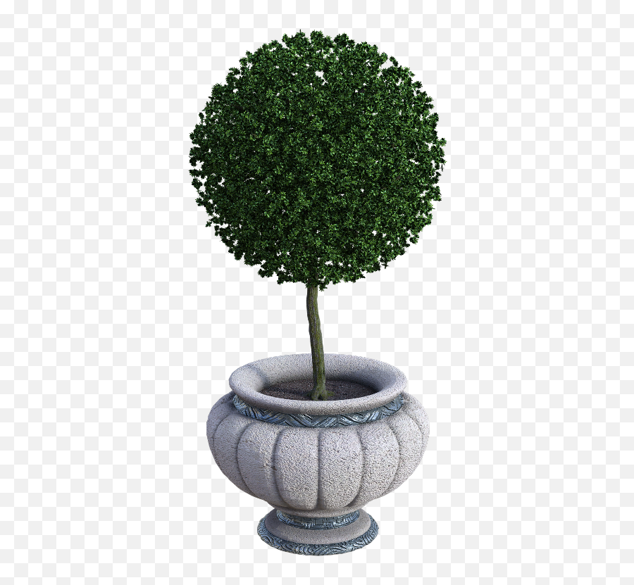 Plant Planter Pottedplant - Evergreen In A Pot Png Transparent Emoji,Potted Plant Emoji