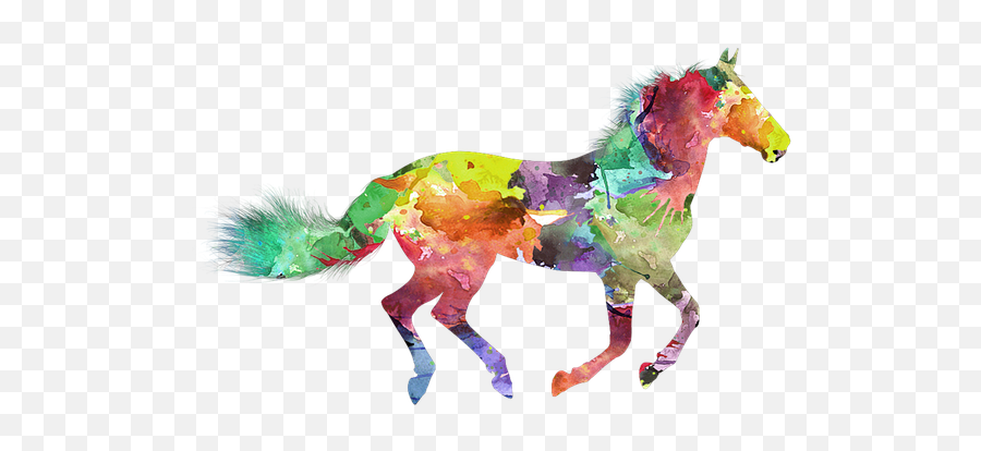 300 Free Nice U0026 Excited Illustrations - Pixabay Colorful Horse Emoji,Horse Emoticon
