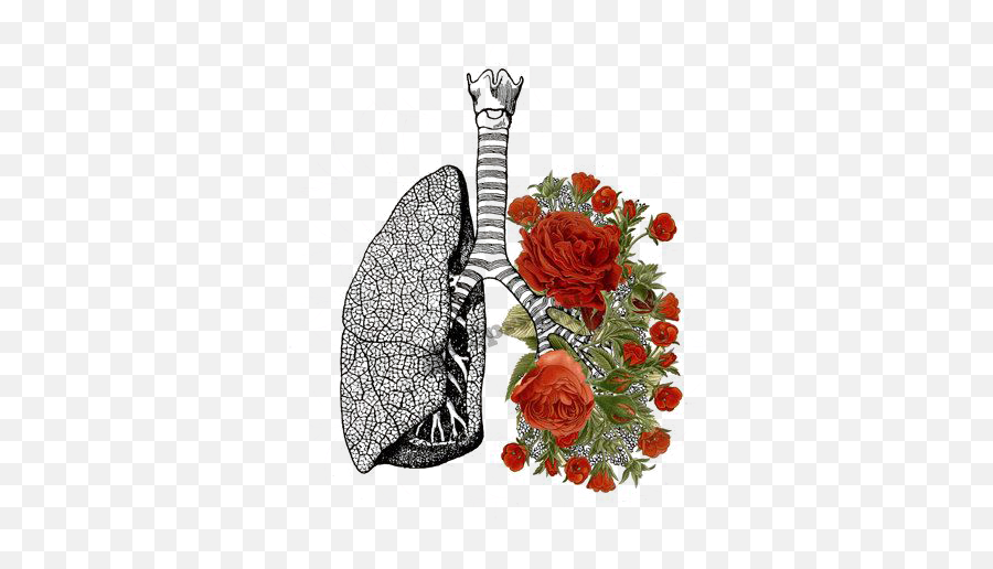 Tumblr Flower Flowers Rose Roses Lung Lungs - Lungs Art Emoji,Lung Emoji