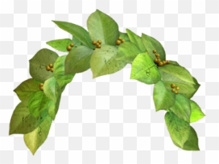 Png flower crown Transparent FREE for - Green Flower Crown Emoji