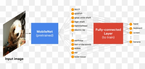 A look at how we built the Emoji Scavenger Hunt using - Transfer Learning Mobilenet