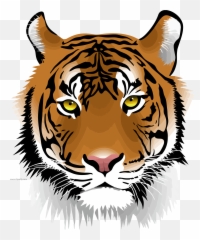 Tiger Wild Face Clipart Png Download - Transparent Head Emoji