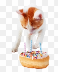 Birthday Cat - Png Cake Emoji