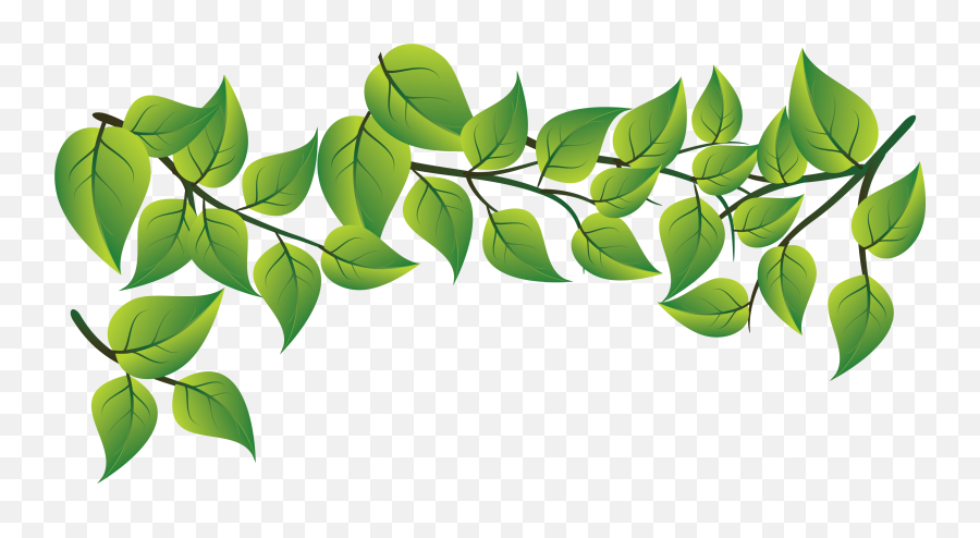 Free Leaves Png Images Download Free Clip Art Free Clip - Green Leaf Vector Png Emoji,Green Leaf Emoji