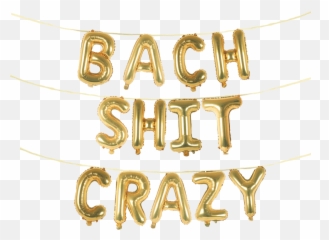 BACH SHIT CRAZY 16 Balloon Phrase Banner Set - Chain Emoji