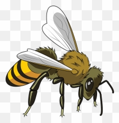 Honeybee Clipart - Honeybee Clipart Emoji,Honey Bee Emoji