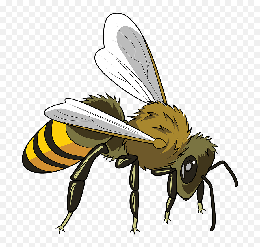 Honeybee Clipart - Honeybee Clipart Emoji,Honey Bee Emoji