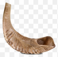 Shofar Transparent Background Png Mart - Shofar Transparent Background Emoji,Horseshoe Emoji