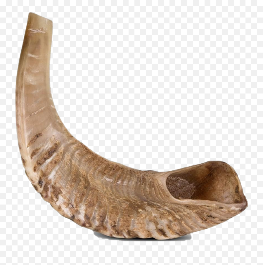 Shofar Transparent Background Png Mart - Shofar Transparent Background Emoji,Horseshoe Emoji