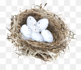 Bird Nest Stickers - Logo Transparent Png Emoji