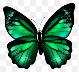 June Clipart Butterfly Garden June Butterfly Garden - Green Color Butterfly Emoji,Butterfly Emoticon