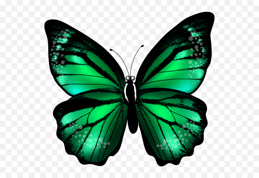 June Clipart Butterfly Garden June Butterfly Garden - Green Color Butterfly Emoji,Butterfly Emoticon